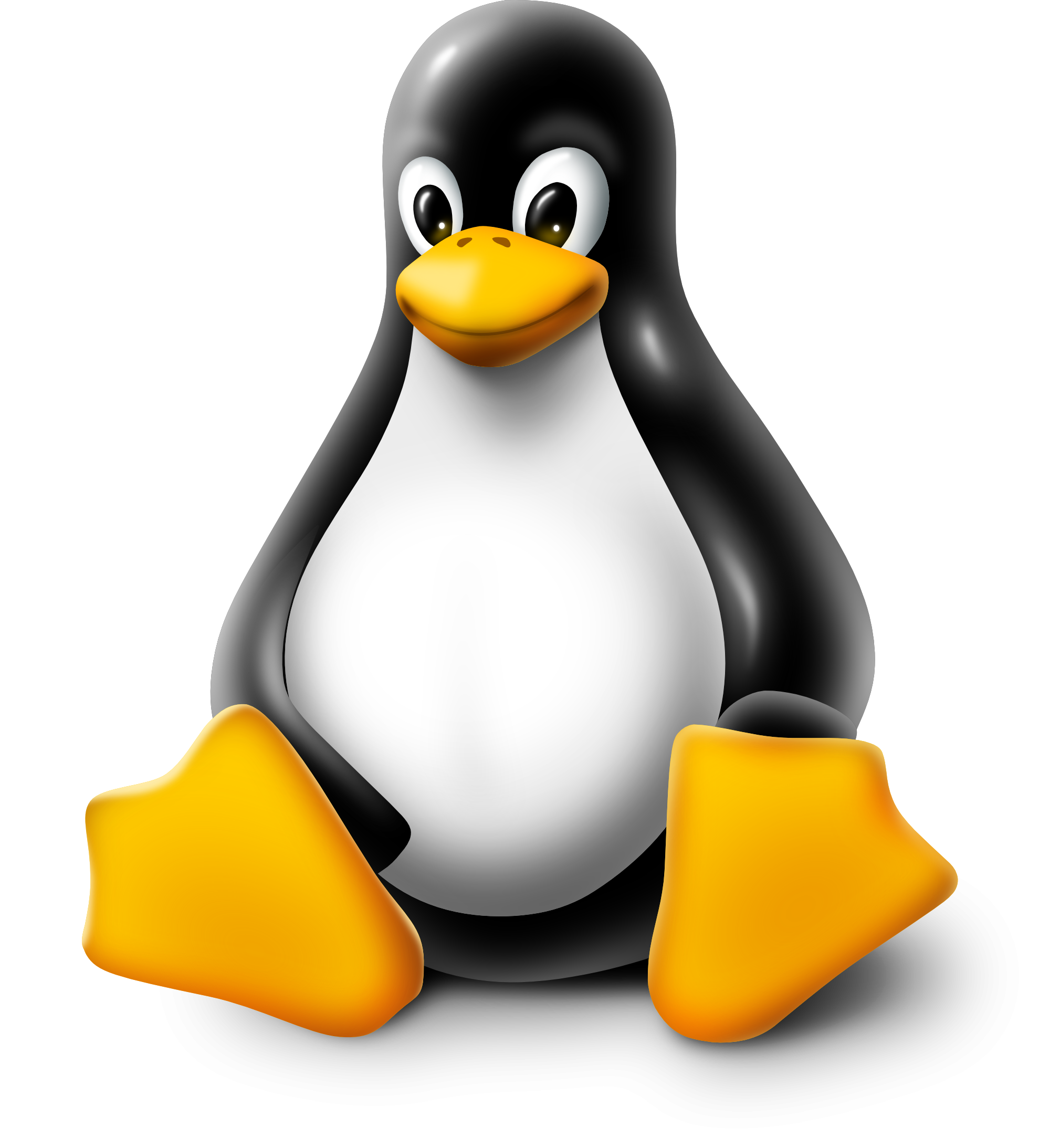 Infrastructure Linux